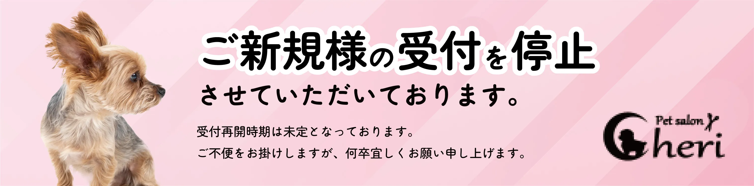 ご新規様の受付を停止させていただいています　受付再開時期は未定となっております。ご不便をお掛けしますが何卒宜しくお願い申し上げます。